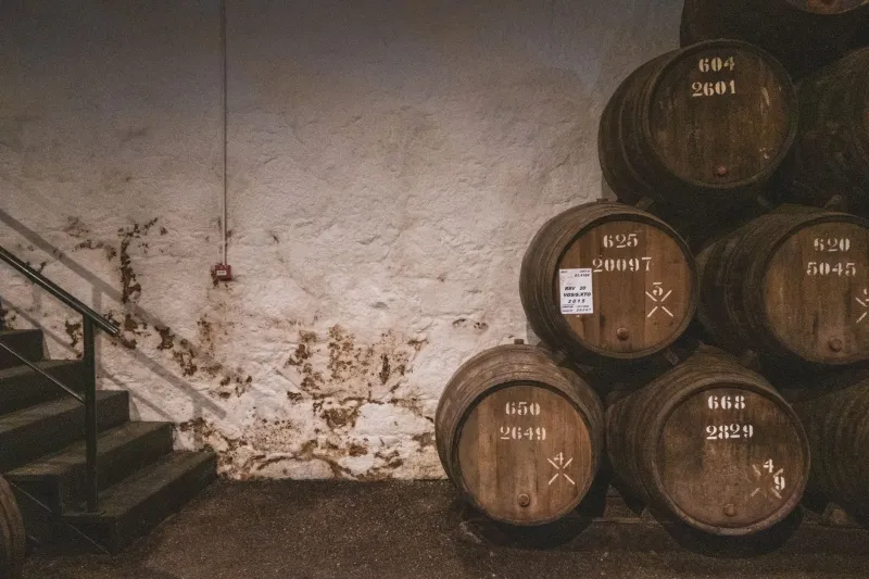 From Forest to Fermentation: How the Wood You Choose Changes Everything in the Barrel